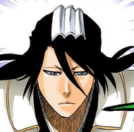 Byakuya 10 years after Yhwach's defeat.