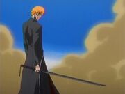 Bleach58