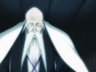 Yamamoto theorizes that Aizen intends to murder the Soul King.