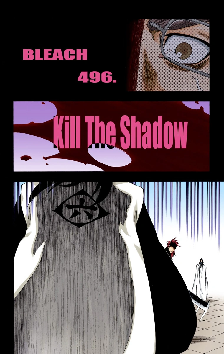 496. Kill The Shadow Bleach Wiki Fandom