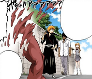 Ichigo observes that Sado and Orihime did not need to follow him.