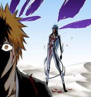 A barely conscious Grimmjow confronts Ichigo.