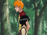 Ichigo denies the possibility of a Hollow killing his mother.