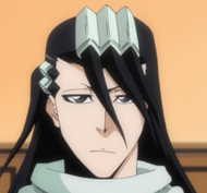 Byakuya Kuchiki, captain of the 6th Division.