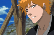 Ichigo apologizes to Kon for his behavior.