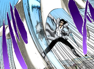 Starrk cuts through Shunsui’s haori.
