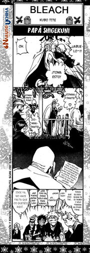 Bleach4koma