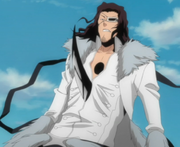 Shunsui Stabs Starrk