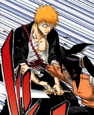 Bankai Training, Bleach Wiki