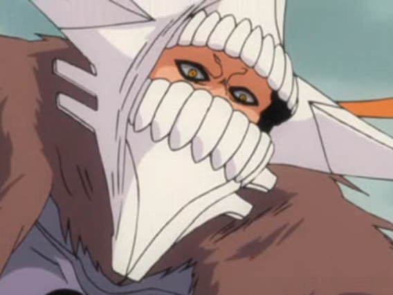 Bleach Vizard are Becoming Arrancar