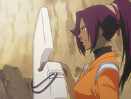 Yoruichi explains the properties of the Tenshintai.