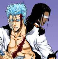 Tōsen appears to stop Grimmjow Jaegerjaquez's fight with Ichigo Kurosaki.