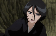 233Rukia states