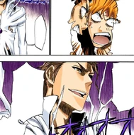 Gin and Isshin argue with each other as Aizen revels in his evolving power.