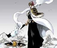 Renji Abarai vs. Mask De Masculine | Bleach Wiki | Fandom