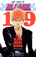 Ichigo on the cover of Volume 19.