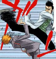 Isshin kicks Ichigo in the face.