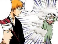 Nel protests Ichigo and Renji destroying the wall instead of using the gate.