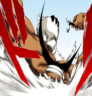 Ichigo vs. Yammy.