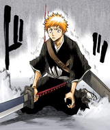 Ichigo falls after being wounded by Renji.