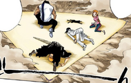 Orihime uses Santen Kesshun to cushion their landing in Soul Society.