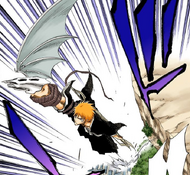 Bankai Training, Bleach Wiki