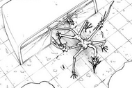 Cinderella emerges onto the rooftop.