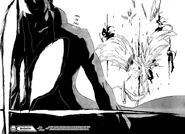 Los Capitanes, derrotados por Aizen