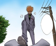 Ichigo arrives to confront Shrieker.