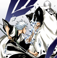 Hitsugaya restrains Gin by binding and freezing his arm.