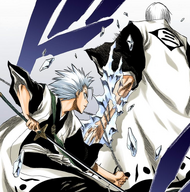 132Hitsugaya restrains