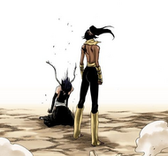 Suì-Fēng falls to her knees in sadness before Yoruichi.