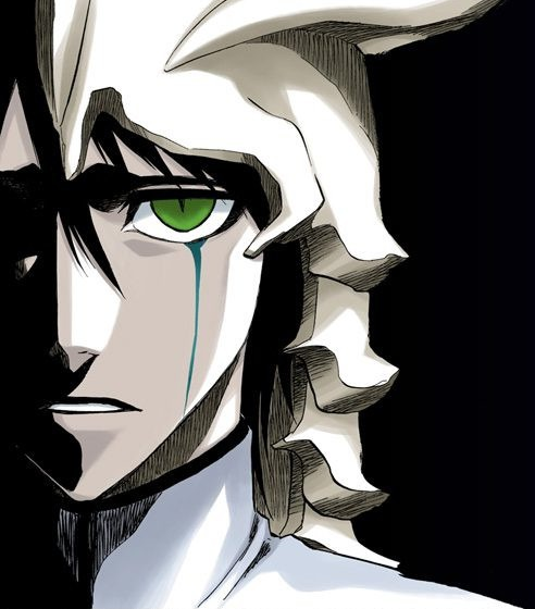 goodbye, halcyon days., Bleach Wiki