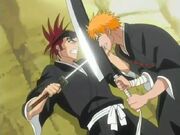 Bleach 30 005 0001