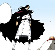 Yhwach confronts Ichibē Hyōsube.