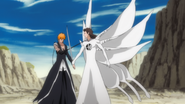 Ichigo faces off against Aizen.