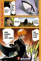 Ichigo gains Bankai for Rukia's Sake