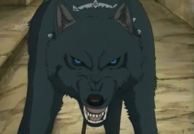 Legend of the Blue Wolves Anime  TV Tropes