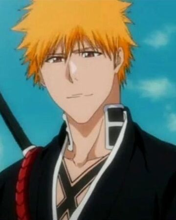 Ichigo Kurosaki Bleached Wolf S Rain Wiki Fandom