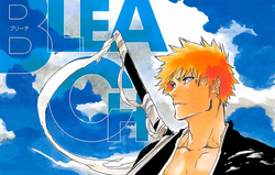 Fullbring (Seireitou), Bleach Fan Fiction Wiki