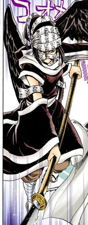 Sango's General Appearance