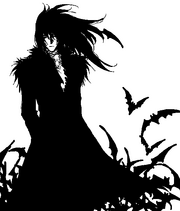 Shou's Gengetsu Spirit Form