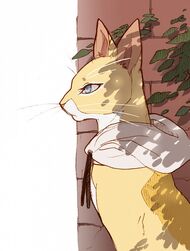 Naokocatform