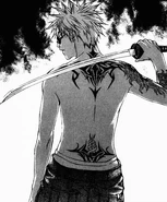 Shinrei during early Part IV in his true Shinigami form.