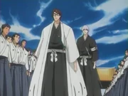 Aizen with Ichimaru as his Lieutenant.