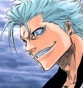 Grimmjow Jeagerjaquez (Darknesslover5000), Bleach Fan Fiction Wiki