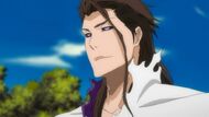 Aizen second form