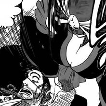 Katen KyÅkotsu Seireitou Bleach Fan Fiction Wiki Fandom In katen kyōkotsu's released state, the daisho sword pair transforms into two large swords resembling dao or falchions. bleach fan fiction wiki