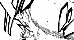 Ichigo using Moonshadow to parry