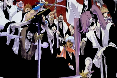 Zero Division (Mangetsu20) | Bleach Fan Fiction Wiki | Fandom